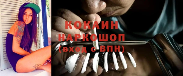 гашик Кропоткин