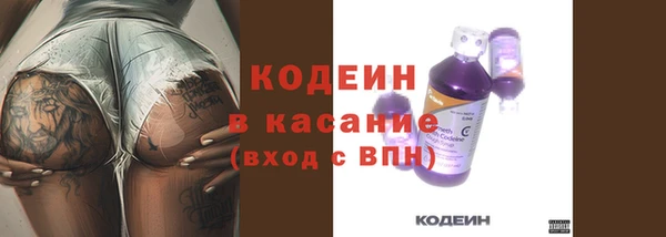 гашик Кропоткин