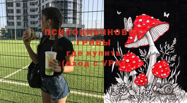 гашик Кропоткин