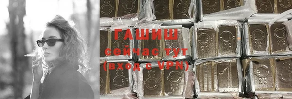 гашик Кропоткин